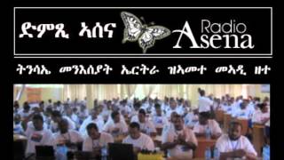 AssennaEditorial Re Youth Door Step intv with Mr Abay Tsehaye and Natnael Estifanos Seyoum [upl. by Yrhcaz42]