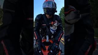 What’s your dogs name dog dogs doglover motorcycle motovlog [upl. by Sigrid]