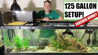 125 Gallon Turtle Tank Setup  No Sand  FOREVER HOME SIZE [upl. by Kiran]