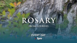 Rosary from Lourdes  19012024 [upl. by Salvay]