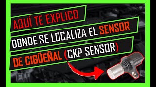 ✅Dónde Va El SENSOR DE CIGÜEÑAL CKP 👉🏻Ubicación Del Sensor De Posición Del Cigueñal [upl. by Halla]