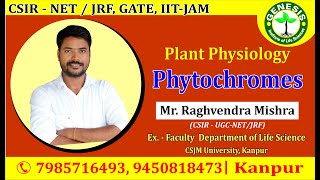 Phytochrome  Plant PhysiologyCSIRUGCNETJRF LIFE SCIENCEGATEDBTICMR Genesis Institute [upl. by Lewse]