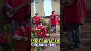 LOS GALANES DE ANTABAMBA Soldadito Toril Apurimac shorts [upl. by Karisa]