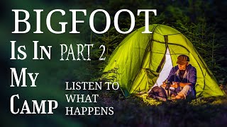 Bigfoot is In My Camp Part 2 [upl. by Hayn822]