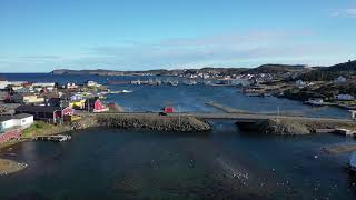 Twillingate drone tour [upl. by Glassman]