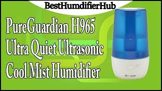 PureGuardian H965 UltraQuiet Ultrasonic Cool Mist Humidifier Review [upl. by Phene]