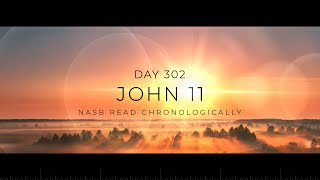 Day 302  OneYear Chronological  Daily Bible Reading Plan  NASB [upl. by Modesta]