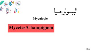 درس ميكولوجي  L3  Microbiologie Mycologie MycetesChampignon [upl. by Einobe475]