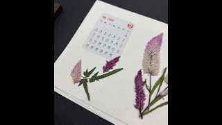 Pressed Flower Calendar New Year CalendarFebruaryPhoenix Tail 2月凤尾草 SD 480p [upl. by Elyse]