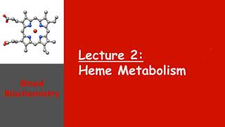 Blood Biochemistry  Heme Metabolism [upl. by Roi]