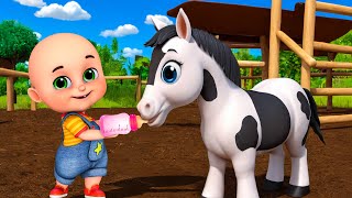 Baby Horse Song New Compilation  Animals Farm Old MacDonald  Nursery Rhymes amp Kids Songs Baby Bobo [upl. by Yvi]