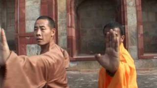 Shaolin Kungfu India [upl. by Atem399]