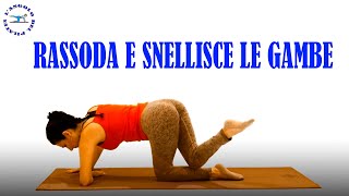 rassoda e snellisce le gambe pilates [upl. by Puduns]