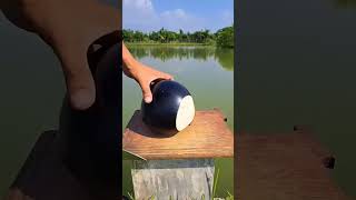 Story of black coconut experiment amazing science amazingfacts shortvideo facts [upl. by Danit]