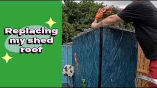 Replacing my Shed Roof [upl. by Yrhcaz]