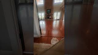 Hardwood floor refinishing [upl. by Esadnac]