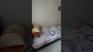 1 room in executive flat for rent [upl. by Cornela]