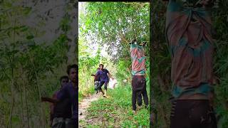 ভিডিওটা দেখতে থাকেন ফানি ভিডিওfunny comedy viralvideoシ [upl. by Etnuahs]