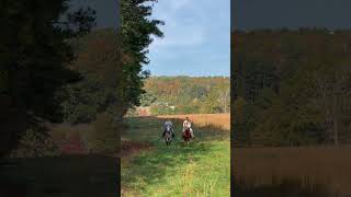 Riding into the week like this 😎 cooler youtube fyp farm ranch life horses lifestyle [upl. by Allis673]