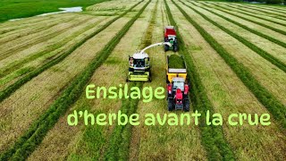 JE VOUS EMMÈNE AVEC MOI À LENSILAGE DHERBE 2024 🌿 [upl. by Notsirb800]