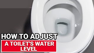 How To Adjust A Toilets Water Level  Ace Hardware [upl. by Hannej]