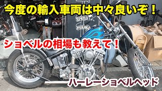 ショベルの相場ってどのくらい？【Shovelhead ハーレーショベルヘッド】 [upl. by Ellennahc219]