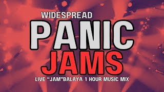 Widespread Panic Jams Live Music Mix No Vocals [upl. by Brewster]