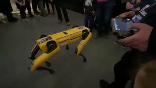 Boston Dynamics Robot Dog is a favorite of children [upl. by Hoy]