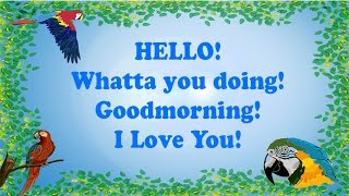 Teach your Parrot to say Hello Whatta you doing Goodmorning amp I Love you With 1 hour breaks [upl. by Ahsele]