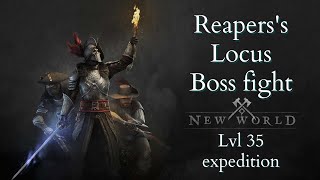 New World Reapers Locus Boss fight [upl. by Airdnua]