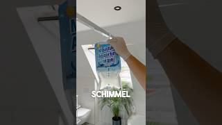 Schimmel im Altbau🦠😷 5 Tricks gegen Schimmel💨 [upl. by Anilram]