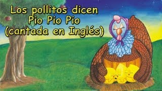 Los Pollitos Dicen Pio Pio Pio  En Inglés [upl. by Ellicul]