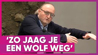 Dion Graus heeft oplossing voor probleemwolf [upl. by Raycher80]