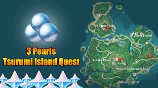 3 Pearls Tsurumi Island Quest [upl. by Hairahcez596]