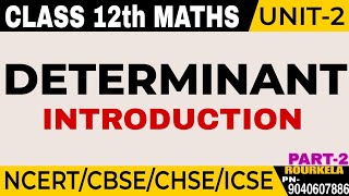 CLASS 12 MathsDeterminantCBSECHSEICSCINTRODUCTIONIN HINDI FULL EXPLANATION PART2 [upl. by Refenej]