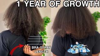 PROVEN methods to grow long thick hair  I got to bra strap length using these [upl. by Ready]