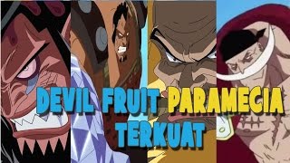 10 DEVIL FRUIT PARAMECIA TERKUAT  ONE PIECE INDONESIA [upl. by Akenat895]