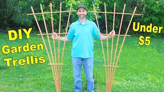 How to Make a 6FT Garden Trellis with 1 Board  Simple DIY Fan Trellis [upl. by Stout]