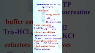 Ribosomal display protocol  overview [upl. by Adnouqal]