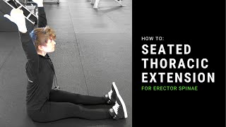 Seated Thoracic Extension Erector Spinae Exercise [upl. by Johnath18]