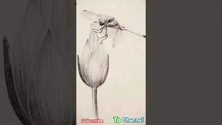 drawing art pancil sketch pecilsketch 1million pencildrawing pencil art shortvideo shorts [upl. by Anivlek]