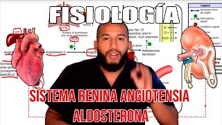 Fisiología  Sistema Renina Angiotensina Aldosterona Mácula Densa Aparato Yuxtaglomerular [upl. by Dixie]