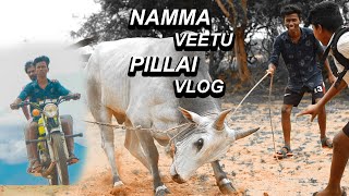 Namma veetu pillai vlog MrThenikkal MrThenikkalVlogs jallikattu rx100 [upl. by Anirav]