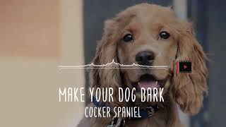 Make your Dog Bark  Cocker Spaniel Sound effects [upl. by Colbert841]