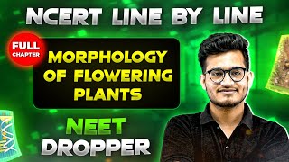 Morphology of Flowering Plants FULL CHAPTER  NCERT Class 11th Botany  Chapter 4  Yakeen NEET [upl. by Grose]