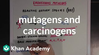 Mutagens and carcinogens  Biomolecules  MCAT  Khan Academy [upl. by Neelak20]