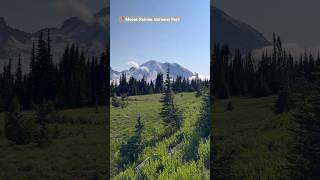 Mount Rainier National Park washington seattlevlog [upl. by Sedlik]