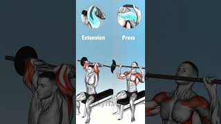 🔹 Overhead Extension vs Press 🤔 [upl. by Telford]