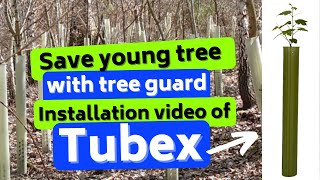 Save young tree with tree guardInstallation video of tubex [upl. by Sancho]