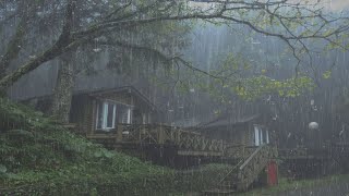 Regengeräusche zum Einschlafen Entspannung Meditieren Lernen  Regen Gewitter auf Holzhaus [upl. by Ronni209]